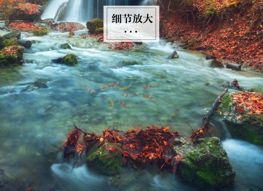 【情系桑榆爱满天】德州市陵城区丁庄镇前王村为全村七十周岁以上老人及低保户发放新春福利